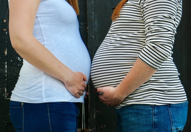 hebamme_hammer_unkel_schwangerschaft_16